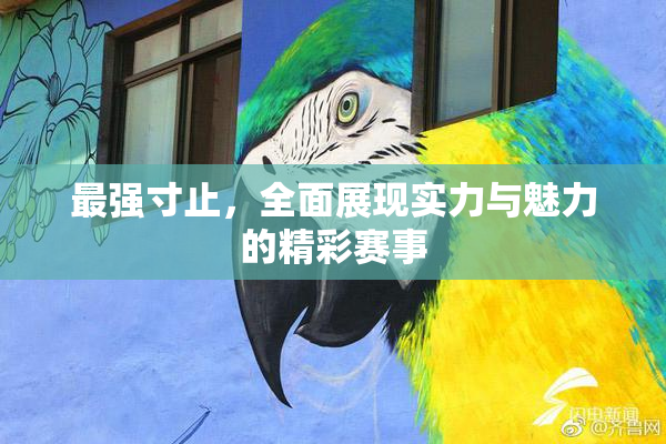 最强寸止，全面展现实力与魅力的精彩赛事