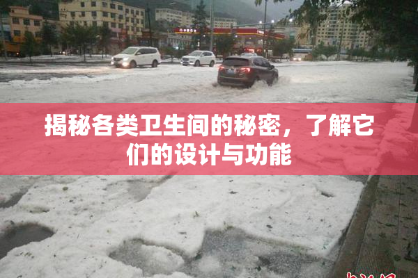 揭秘各类卫生间的秘密，了解它们的设计与功能