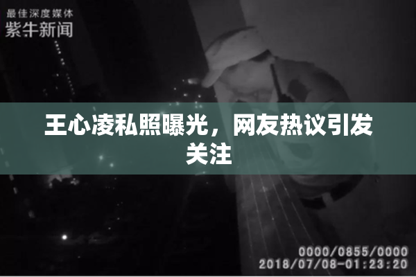 王心凌私照曝光，网友热议引发关注