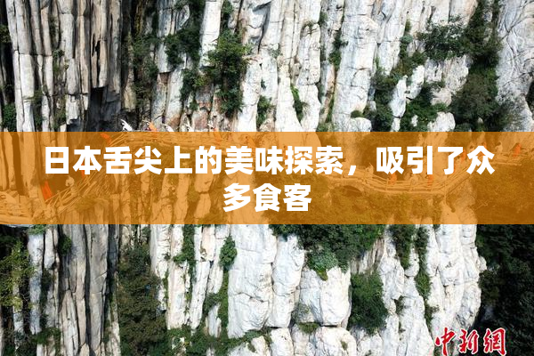 日本舌尖上的美味探索，吸引了众多食客