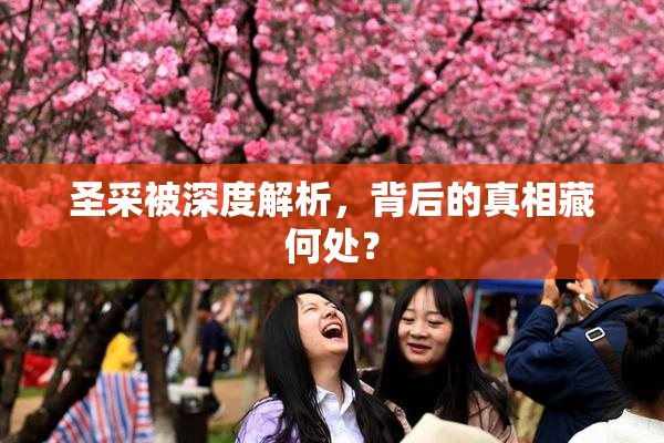 圣采被深度解析，背后的真相藏何处？