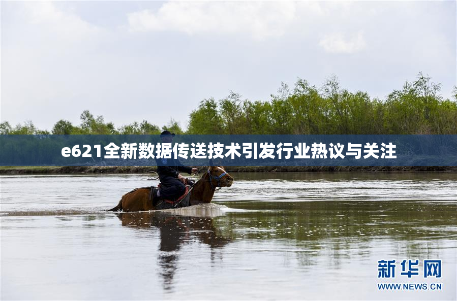 e621全新数据传送技术引发行业热议与关注