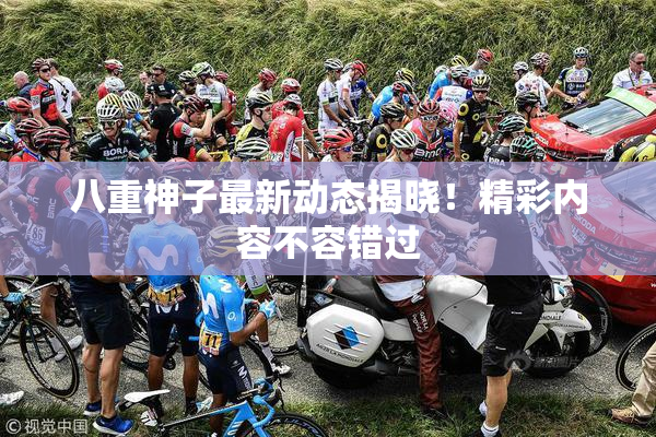八重神子最新动态揭晓！精彩内容不容错过