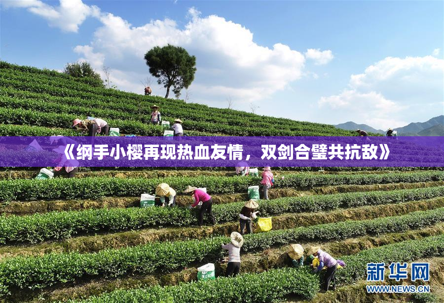 《纲手小樱再现热血友情，双剑合璧共抗敌》
