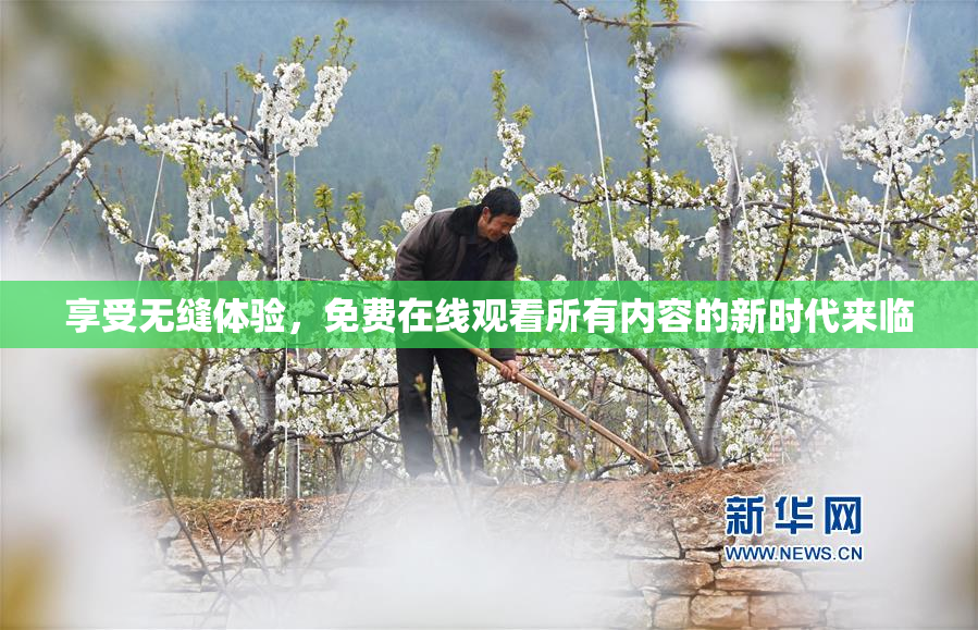 享受无缝体验，免费在线观看所有内容的新时代来临