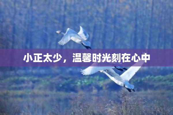 小正太少，温馨时光刻在心中