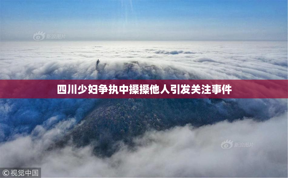四川少妇争执中搡搡他人引发关注事件