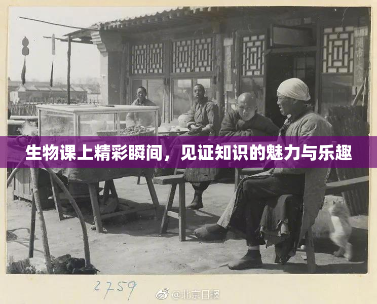 生物课上精彩瞬间，见证知识的魅力与乐趣