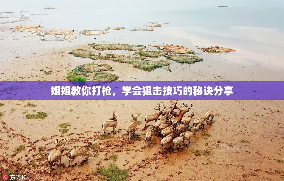 姐姐教你打枪，学会狙击技巧的秘诀分享