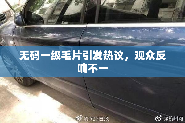 无码一级毛片引发热议，观众反响不一
