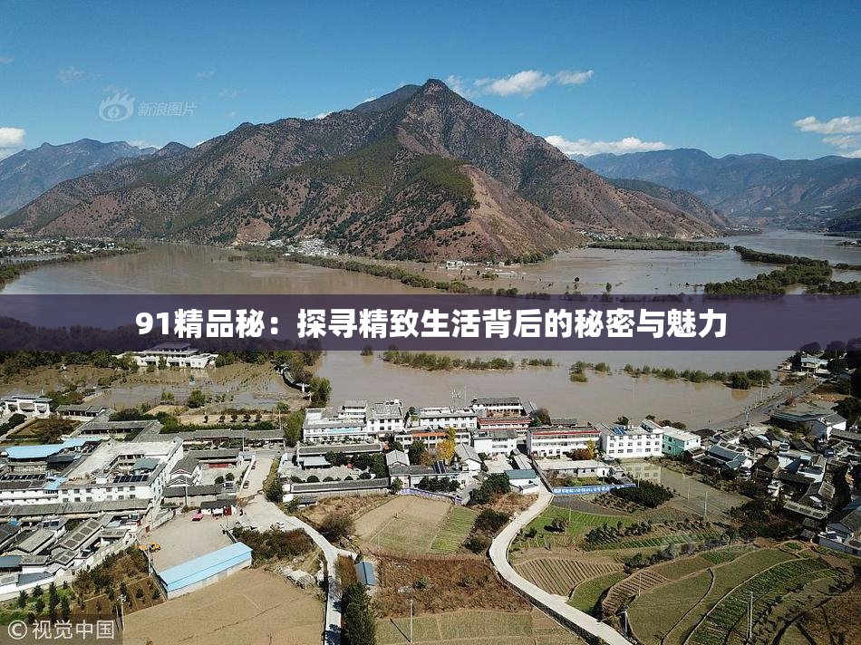 91精品秘：探寻精致生活背后的秘密与魅力