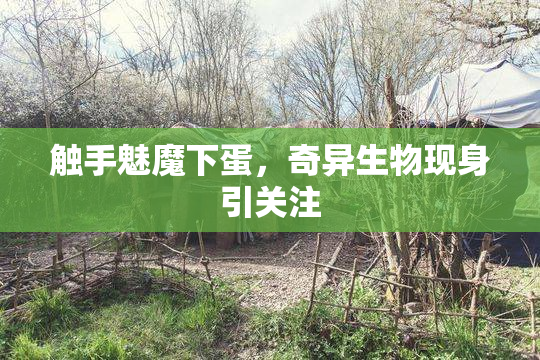 触手魅魔下蛋，奇异生物现身引关注