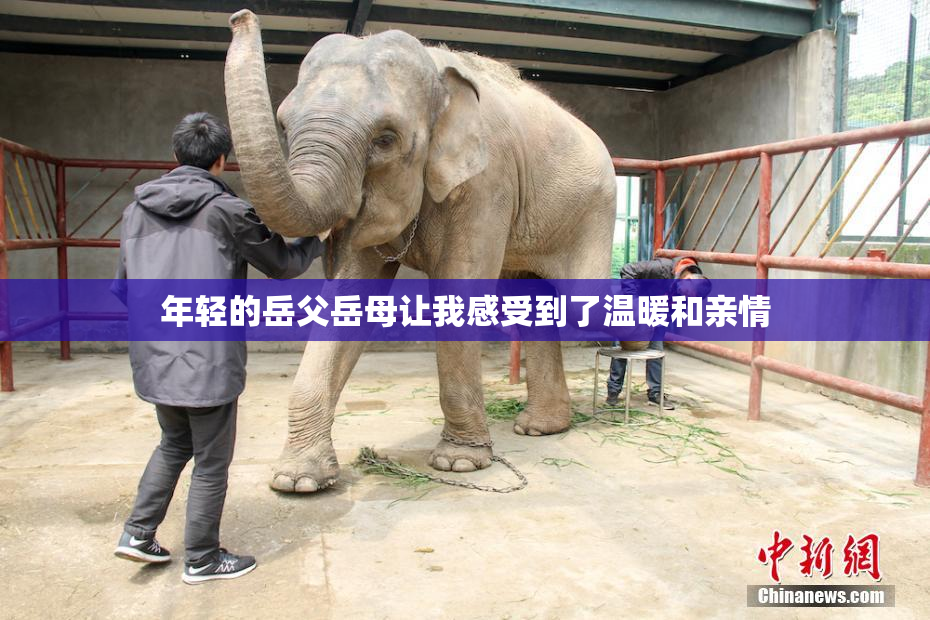 年轻的岳父岳母让我感受到了温暖和亲情