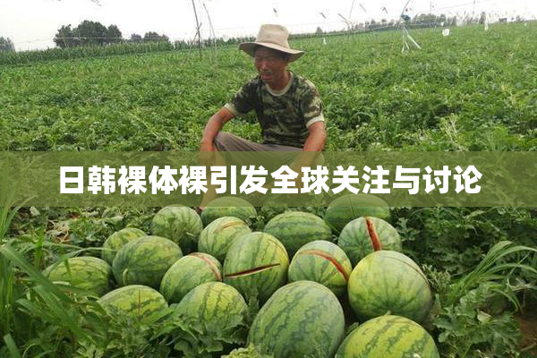 日韩裸体裸引发全球关注与讨论