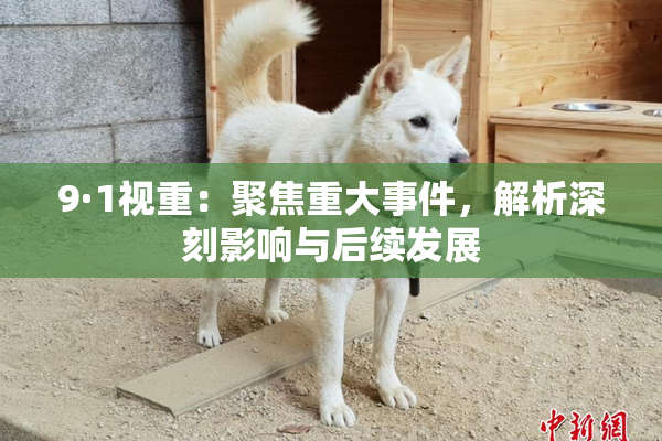 9·1视重：聚焦重大事件，解析深刻影响与后续发展