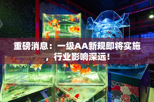 重磅消息：一级AA新规即将实施，行业影响深远！