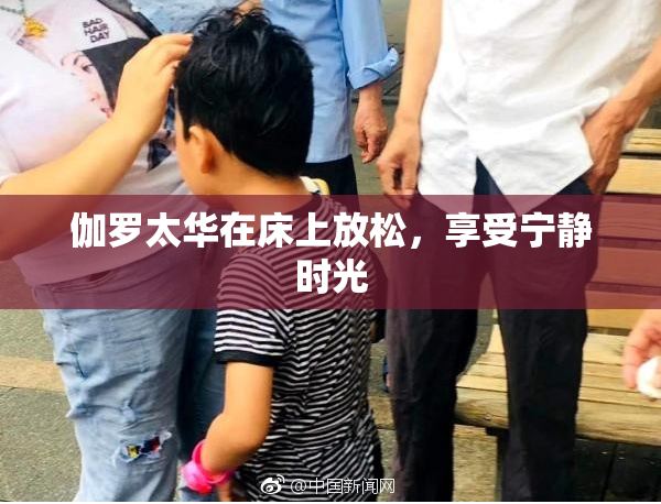 伽罗太华在床上放松，享受宁静时光
