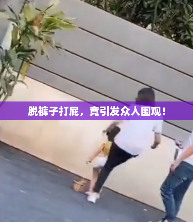 脱裤子打屁，竟引发众人围观！