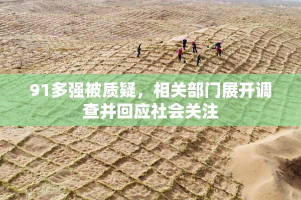91多强被质疑，相关部门展开调查并回应社会关注