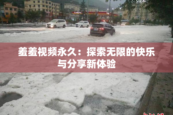 羞羞视频永久：探索无限的快乐与分享新体验