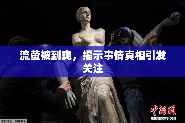 流萤被到爽，揭示事情真相引发关注
