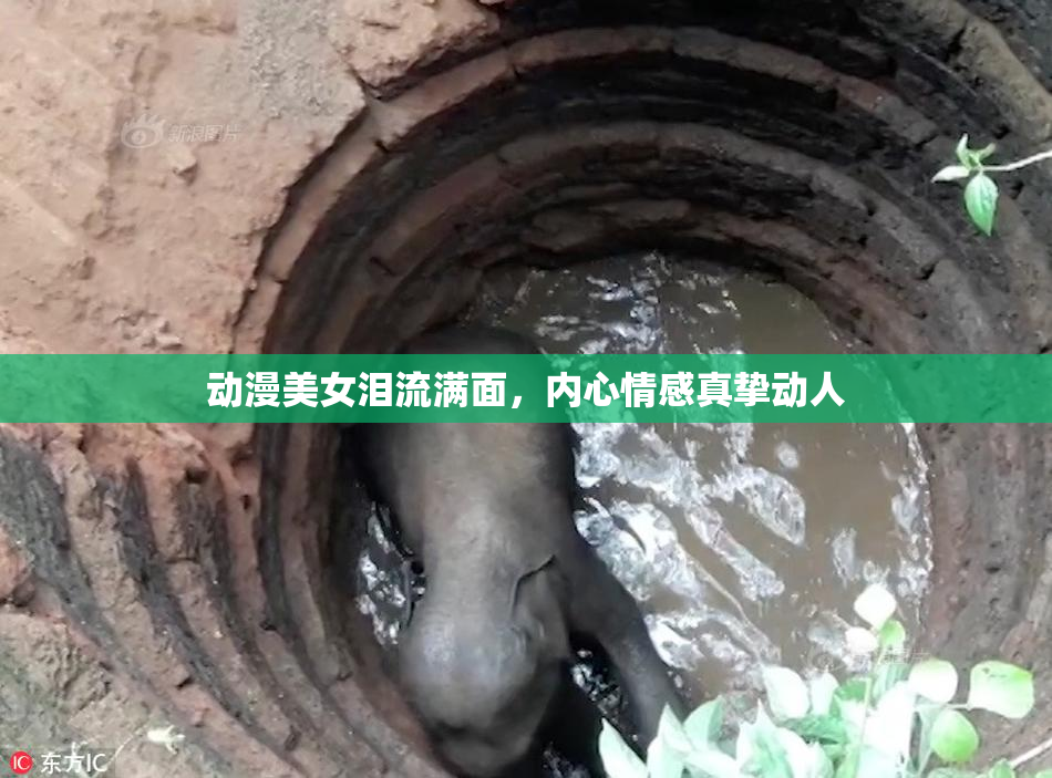 动漫美女泪流满面，内心情感真挚动人