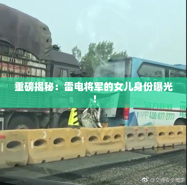 重磅揭秘：雷电将军的女儿身份曝光！