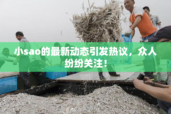 小sao的最新动态引发热议，众人纷纷关注！