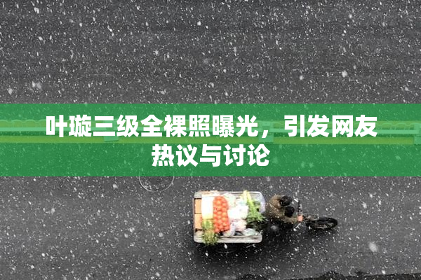 叶璇三级全裸照曝光，引发网友热议与讨论