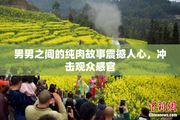 男男之间的纯肉故事震撼人心，冲击观众感官