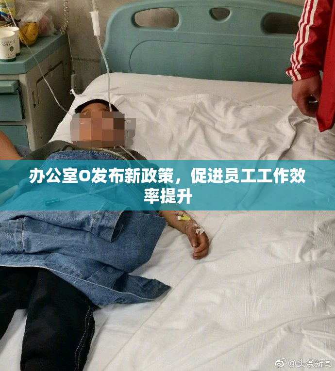 办公室O发布新政策，促进员工工作效率提升