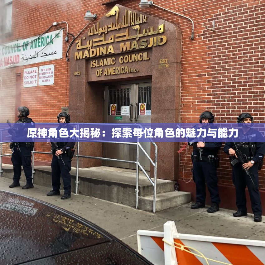 原神角色大揭秘：探索每位角色的魅力与能力