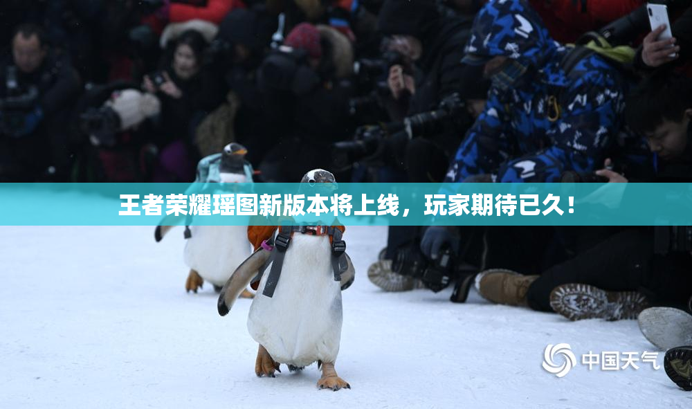 王者荣耀瑶图新版本将上线，玩家期待已久！