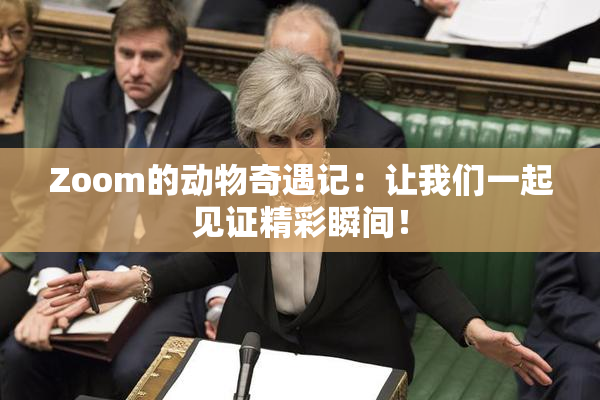 Zoom的动物奇遇记：让我们一起见证精彩瞬间！