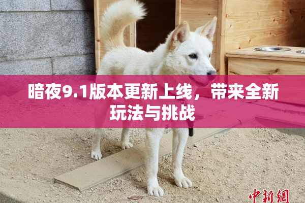 暗夜9.1版本更新上线，带来全新玩法与挑战