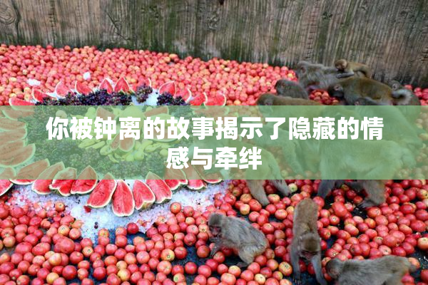 你被钟离的故事揭示了隐藏的情感与牵绊