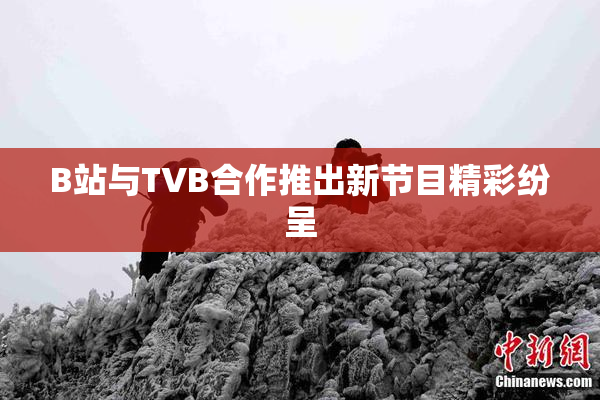 B站与TVB合作推出新节目精彩纷呈