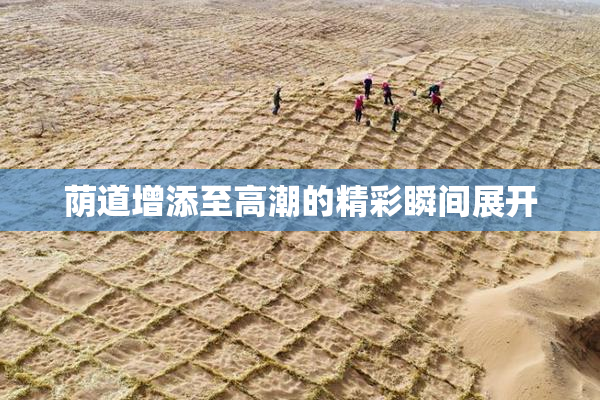 荫道增添至高潮的精彩瞬间展开