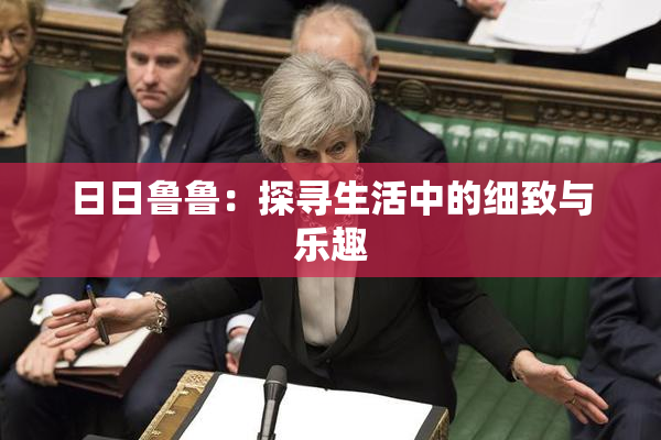 日日鲁鲁：探寻生活中的细致与乐趣