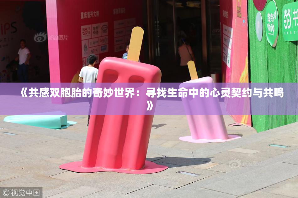 《共感双胞胎的奇妙世界：寻找生命中的心灵契约与共鸣》