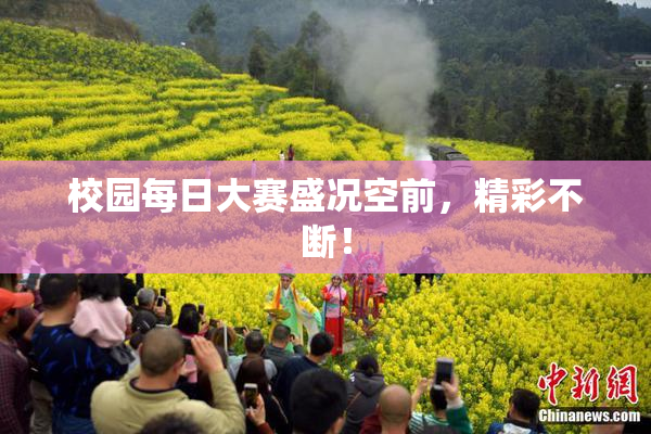 校园每日大赛盛况空前，精彩不断！