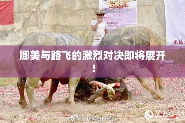 娜美与路飞的激烈对决即将展开！