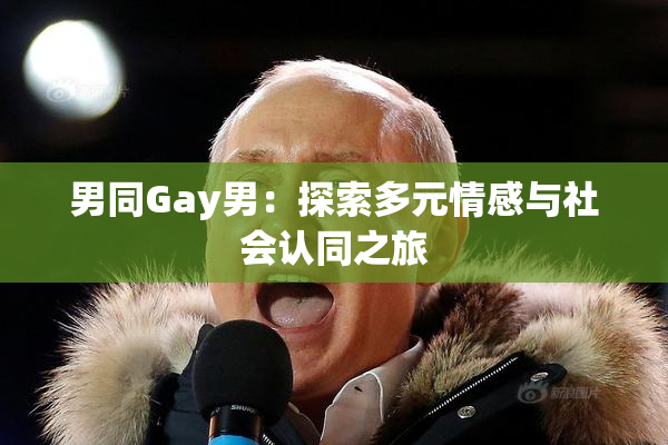 男同Gay男：探索多元情感与社会认同之旅