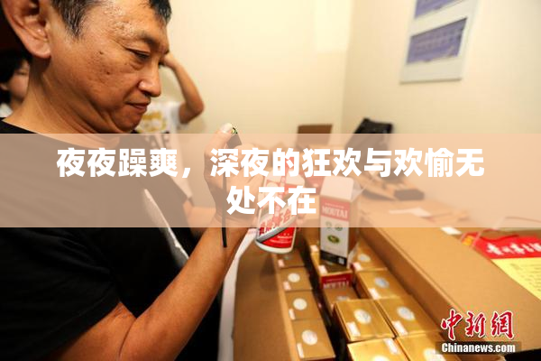 夜夜躁爽，深夜的狂欢与欢愉无处不在
