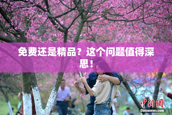 免费还是精品？这个问题值得深思！