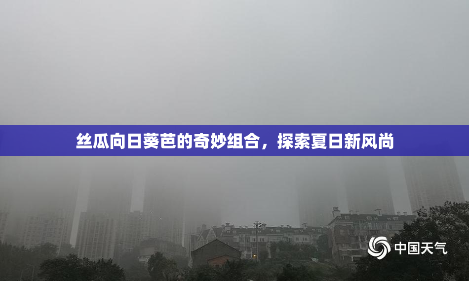 丝瓜向日葵芭的奇妙组合，探索夏日新风尚