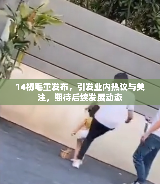 14初毛重发布，引发业内热议与关注，期待后续发展动态