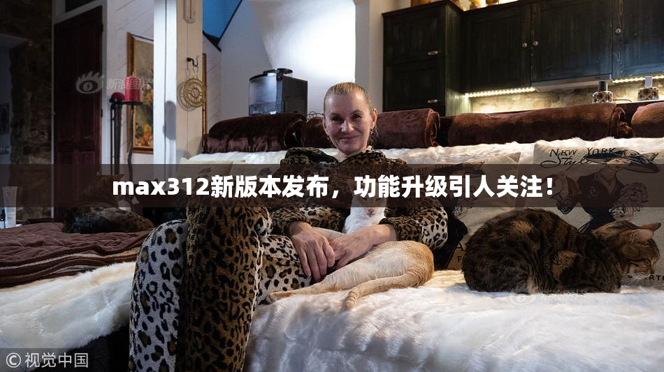 max312新版本发布，功能升级引人关注！