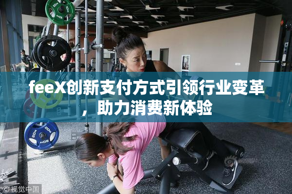 feeX创新支付方式引领行业变革，助力消费新体验