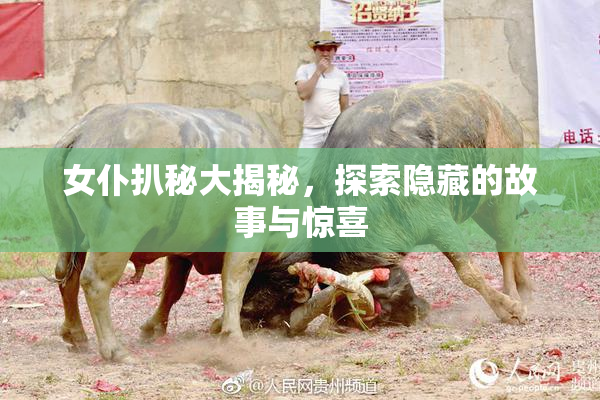 女仆扒秘大揭秘，探索隐藏的故事与惊喜